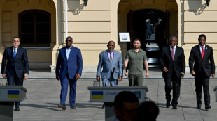 Ramaphosa ruft auf Friedensmission Ukraine und Russland zu Deeskalation auf