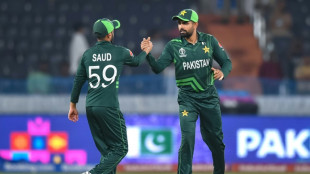 Watching IPL on TV helps Pakistan get into India groove