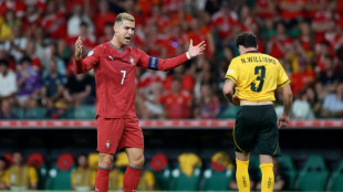 Fernandes hails Portugal's 'greatest symbol' Ronaldo, calls for unity