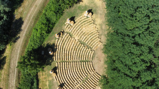 Torna 'Romagna in fiore', con Fabi, Finardi, Irene Grandi, Motta, Bandabard&ograve;