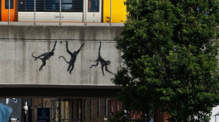 Tre scimpanz&eacute; su un ponte ferroviario, Banksy continua il safari