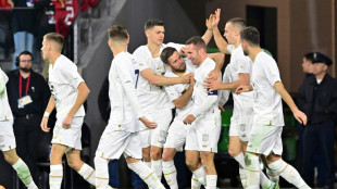 Under-strength Serbia down USA 2-1 in friendly