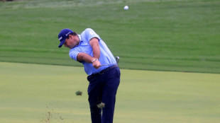Reed in fresh controversy over ball in palm tree