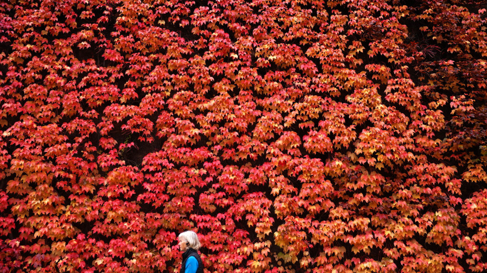 Welfare, all'universit&agrave; arriva un dottorato per quello di genere