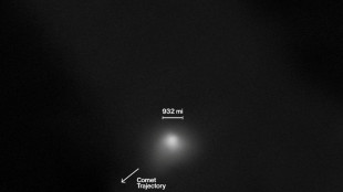 El cometa que fascina a los cient&iacute;ficos y alborota las redes 