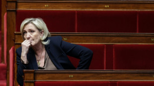 Procès du RN: Marine Le Pen fixée sur son sort et son avenir politique