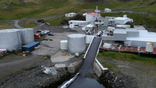 Letztes Walfangunternehmen Islands k&uuml;ndigt Klage gegen m&ouml;gliches Verbot an 