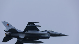 Fighter planes for Ukraine, a complex challenge for Kyiv's allies