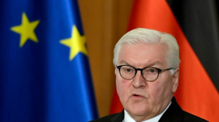 Steinmeier kritisiert F&uuml;hrung des Iran f&uuml;r "ma&szlig;lose Gewalt" gegen Demonstranten