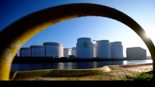 Alemania mantiene llenos sus dep&oacute;sitos de gas gracias al buen tiempo