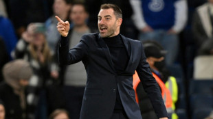 Southampton boss Selles on survival mission