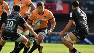 Springbok Reinach knocks London Irish out of Challenge Cup