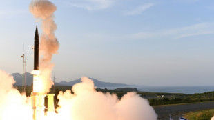 Haushaltsausschuss soll erste Mittel f&uuml;r Kauf von Raketenabwehrschirm freigeben