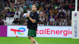Springboks delighted for flag reprieve, says Erasmus