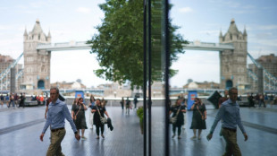 Le taux de ch&ocirc;mage monte encore au Royaume-Uni, o&ugrave; l'activit&eacute; s'essoufle