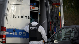La red de ultraderecha desmantelada en Alemania era potencialmente peligrosa, dice la polic&iacute;a