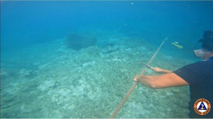 China warnt Philippinen in Streit um schwimmende Barriere vor Fischgr&uuml;nden