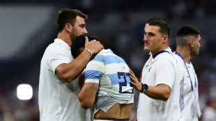 Pumas' claws will be sharper for Samoa challenge, says veteran Creevy