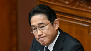 Japans Regierungschef verspricht niedrigere Steuern und h&ouml;here Subventionen