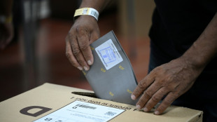 Rep&uacute;blica Dominicana elege presidente com Haiti como pano de fundo