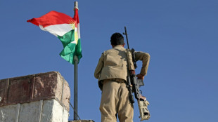 Un muerto en ataques de Ir&aacute;n contra opositores kurdos en Irak