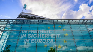 CDU-Kampagne gegen Verbrenner geht nach hinten los - Abstimmung gestoppt