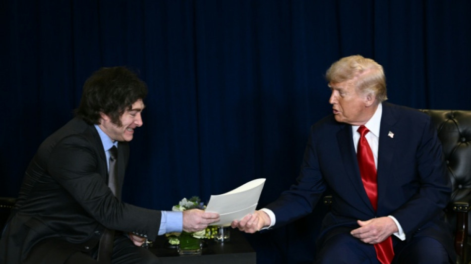 Washington en soutien appuyé à l'économie de son allié Milei