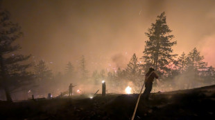 Waldbr&auml;nde in Kanada: Notstand in Provinz British Columbia ausgerufen
