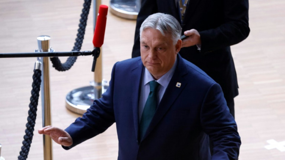 Orban visita Ucr&acirc;nia pela primeira vez desde o in&iacute;cio da guerra apesar das tens&otilde;es