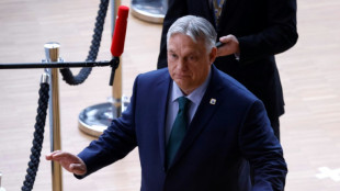 Orban visita Ucr&acirc;nia pela primeira vez desde o in&iacute;cio da guerra apesar das tens&otilde;es