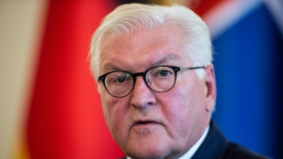 Steinmeier fordert Arabischst&auml;mmige zu klarer Distanzierung von Hamas auf