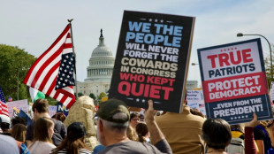 Massenproteste gegen Trump: Rund sieben Millionen Teilnehmer in 2700 Städten der USA