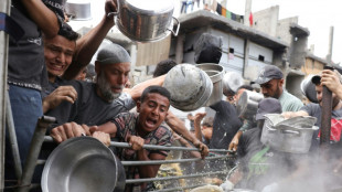 Le Hamas appelle à faire pression sur Israël, 88 morts à Gaza selon les secours