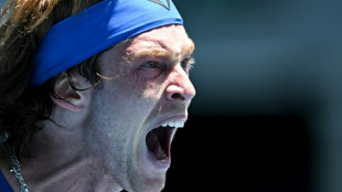 Banana power gets Rublev over the line against Evans