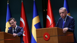 Turqu&iacute;a encarcela a un miembro del PKK extraditado de Suecia