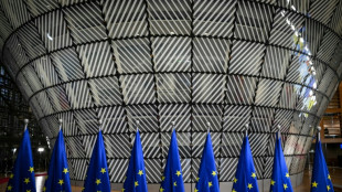 Sommet europ&eacute;en sur l'Arctique dans un contexte de tensions g&eacute;opolitiques croissantes