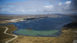 Reino Unido reafirma su soberan&iacute;a sobre Malvinas luego que Milei reavivara la reivindicaci&oacute;n de Argentina