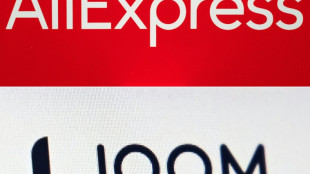 Francia denunciar&aacute; a AliExpress y Joom por vender mu&ntilde;ecas sexuales con apariencia infantil