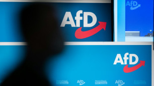 Rheinland-pf&auml;lzische AfD-Fraktion w&auml;hlt Vorsitzenden ab - Frisch tritt aus
