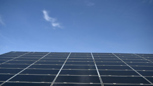 Energies: élan des renouvelables, pic possible du pétrole "vers 2030", selon l'AIE