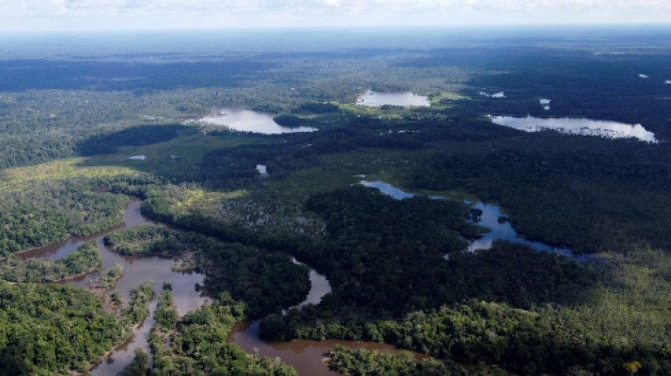 Peru cria reserva ind&iacute;gena na Amaz&ocirc;nia para proteger povos em isolamento