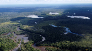 Peru cria reserva ind&iacute;gena na Amaz&ocirc;nia para proteger povos em isolamento