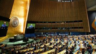 UN-Vollversammlung h&auml;lt Sondersitzung zu Krieg zwischen Israel und der Hamas ab