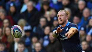Ton-up Hogg one of Scotland's best: Townsend 