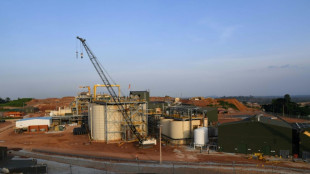 Ivory Coast wants bigger share of its mining boom
