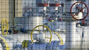Gaz russe: les patronats fran&ccedil;ais et italien appellent Macron et Draghi &agrave; "annoncer des mesures impopulaires"