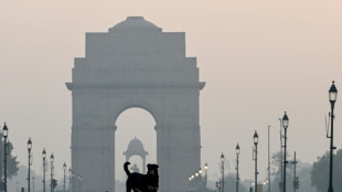 Tribunal ordena captura de dezenas de milhares de cães de rua em Nova Délhi