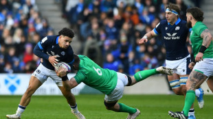 Irish and Scots set for punchy World Cup encounter, says Kleyn