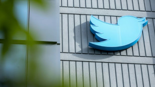 Bundesregierung umgeht Twitter-Beschr&auml;nkungen mit Screenshots auf eigener Website