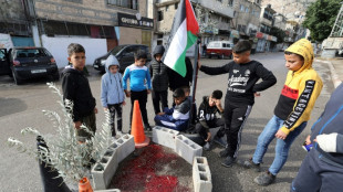 Un palestino de 15 a&ntilde;os muerto durante un operativo del ej&eacute;rcito israel&iacute; en Cisjordania